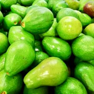 Avocado