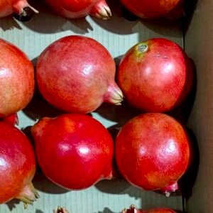 Pomegranate