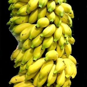 Banana kg