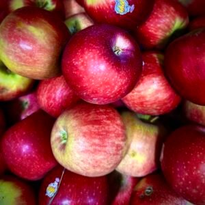 Apple Red