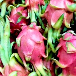 Dragon fruit